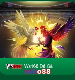 wibo88